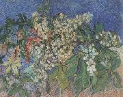 Vincent Van Gogh, Blossoming Chestnut Branches (nn04)